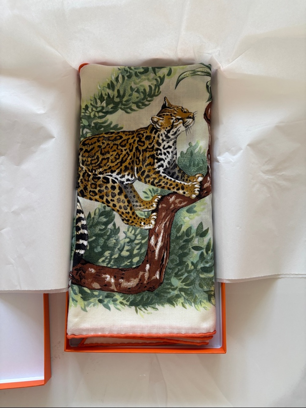 Brand new Hermes equater giant triangle shawl cashmere